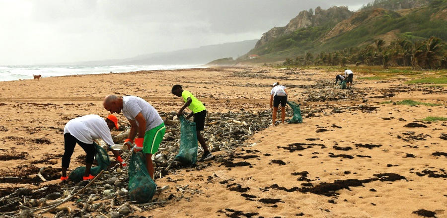 Camps de treball 2026 per joves