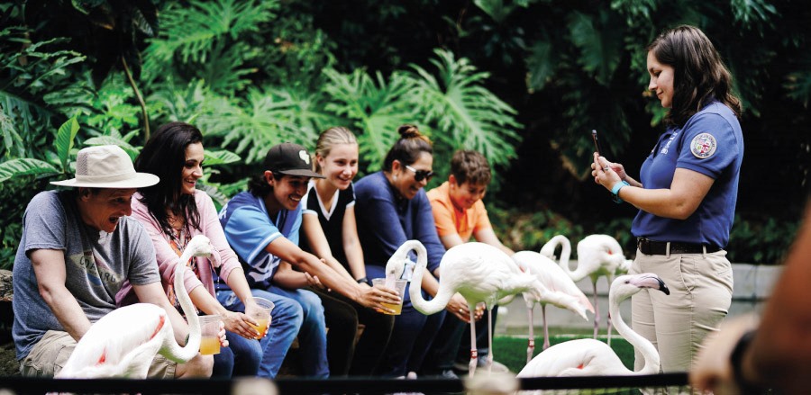 Camps de treball 2026 per joves