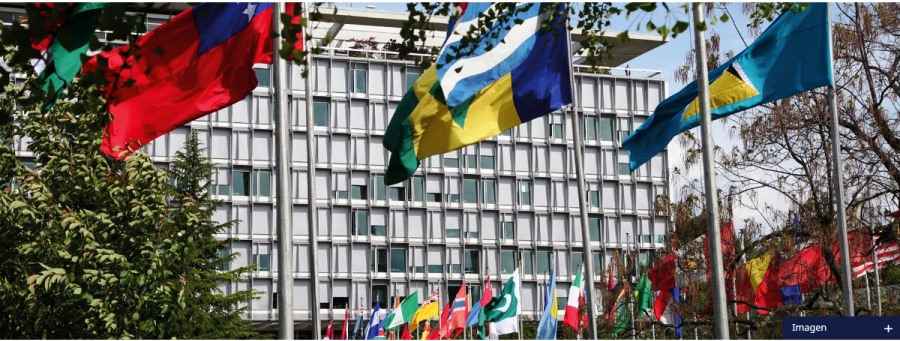 Dia Mundial  de la Salut i la importancia de vida