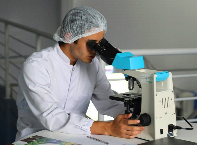 Dia Mundial  de la Salut i la importancia de vida