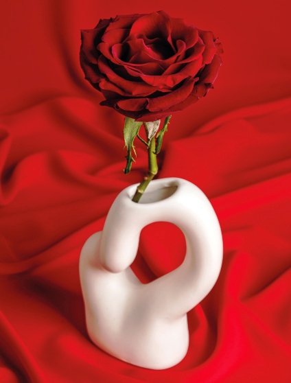 Dia de Sant Valenti  - 14 de febrer i les roses