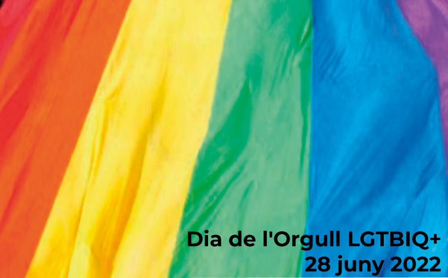 Dia de l'Orgull LGTBIQ+