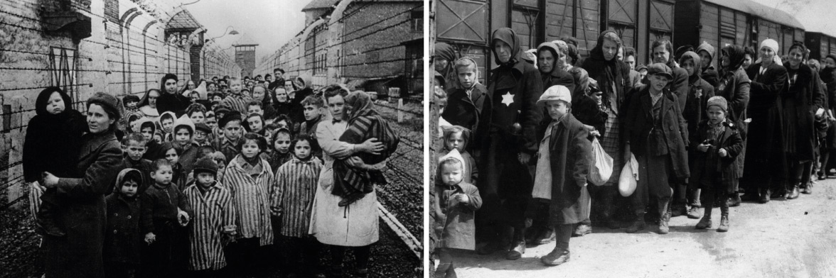 Entre l'horror i la cultura: Auschwitz, 80 anys