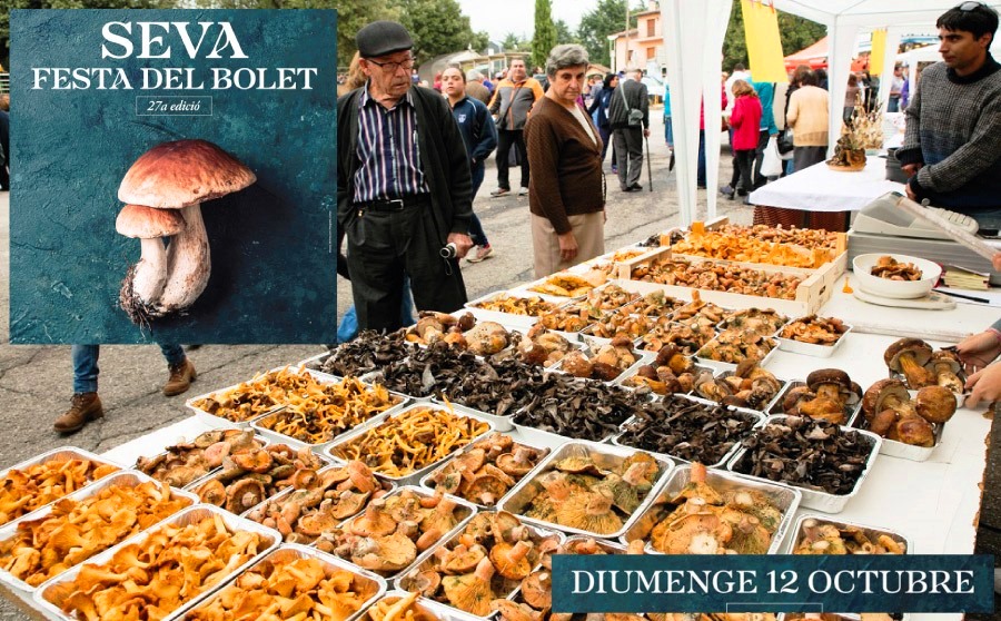 Festa del Bolet de Seva 2025