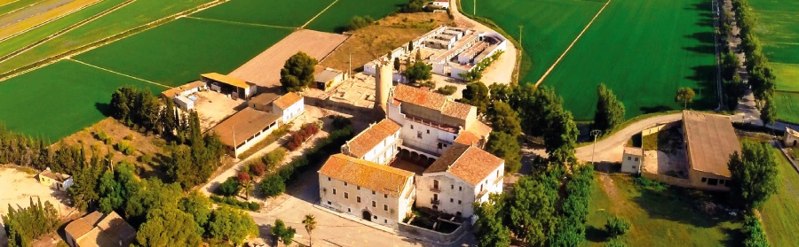 Festa de la Carxofa de l¡Aldea 2026