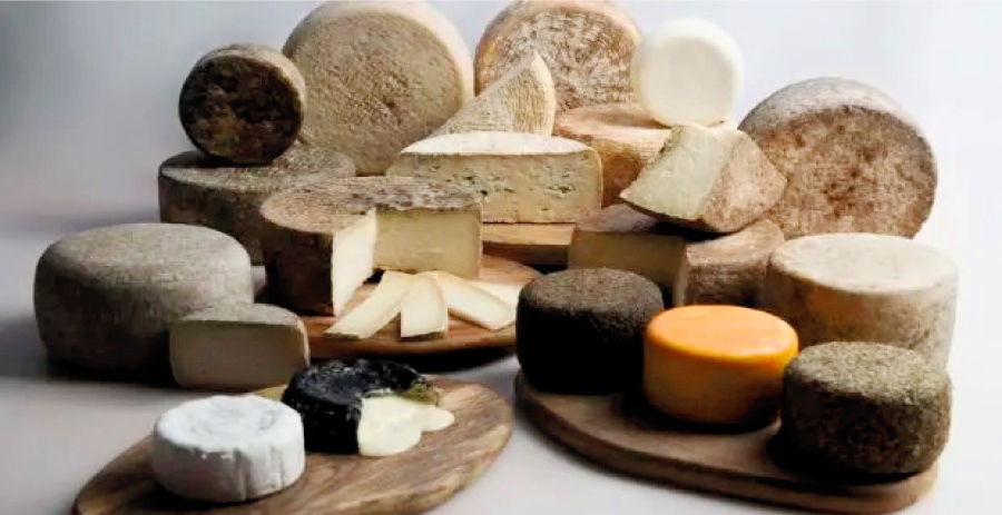 L' elaboració de formatges -varietats 