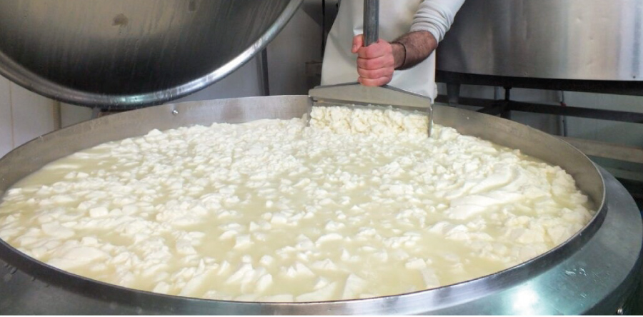 L'elaboració de formatges 
