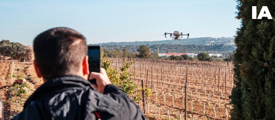 La 5a Wine Innovation Week IA