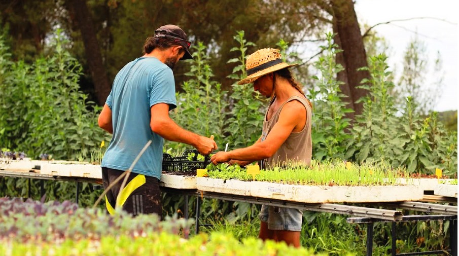 Mes de 150 emprenedors de projectes agroalimentaris