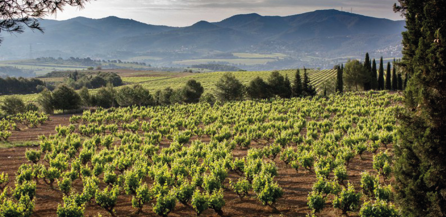 Nadal i les bombolles de cava són inseparables