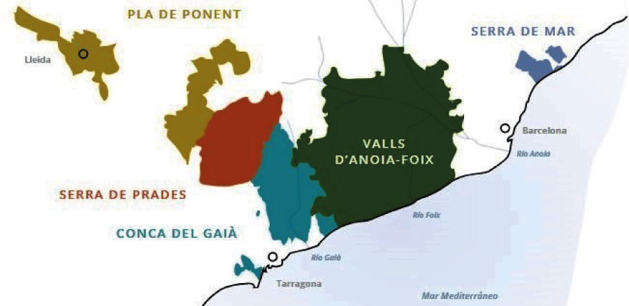 Nadal i les bombolles de cava són inseparables