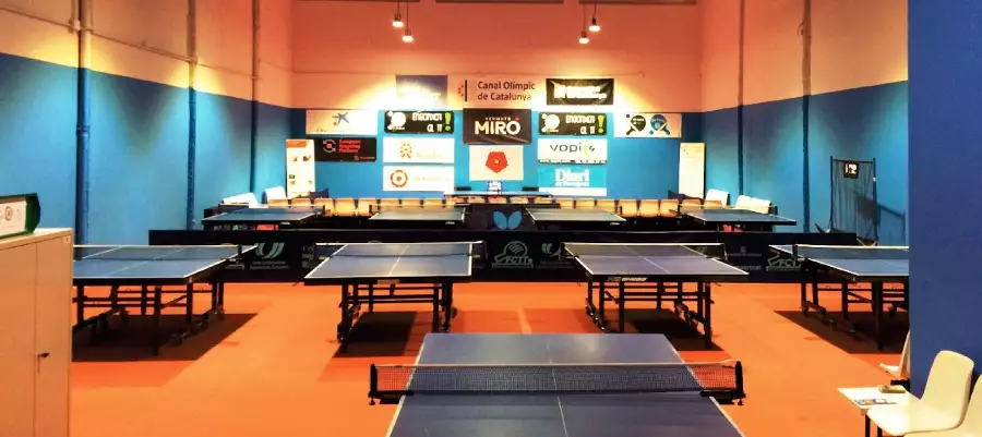 Reus i el tennis taula o ping-pong