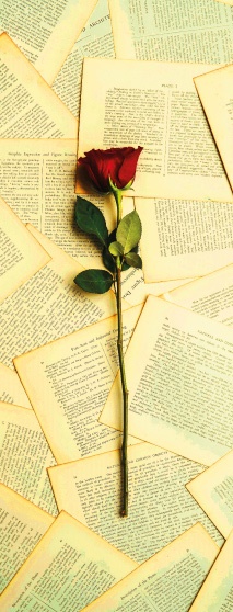 Sant Jordi amb llibres i roses, amor i cultura