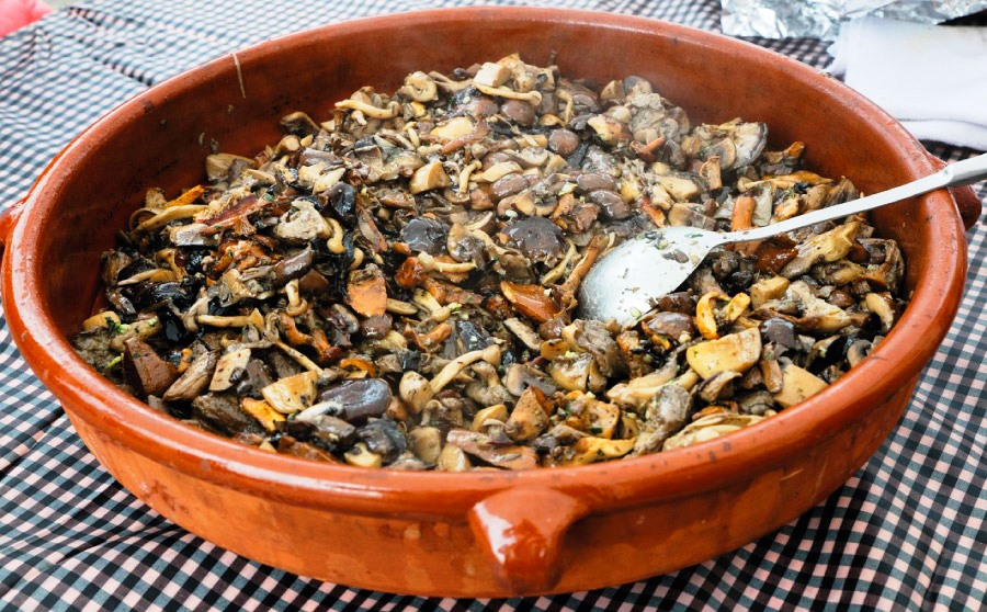 Temporada de Bolets a Catalunya