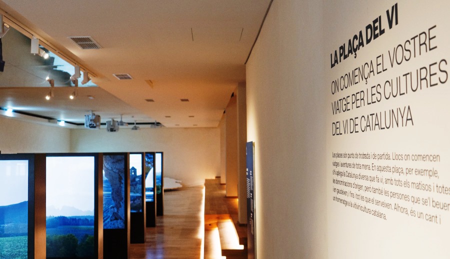 VISEUM obre portes a Vilafranca del Penedès el Dia Internacional dels Museus