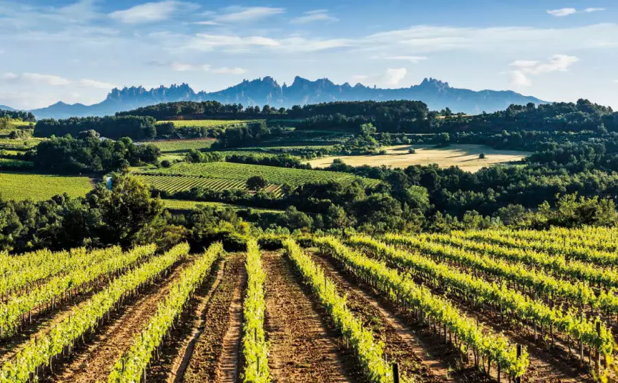 Ven a Penedès