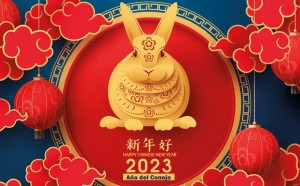 El Año Nuevo Chino