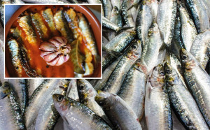 El verano y las sardinas en escabeche