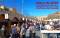 Festa del Xató de Vilafranca del Penedès
