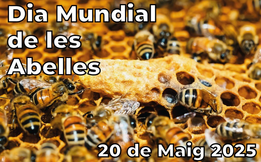 Dia Mundial de les Abelles 2025