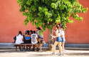 Adaptar les escoles a la calor