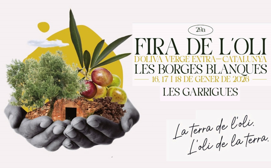 29a Fira de l'Oli d’Oliva Verge Extra