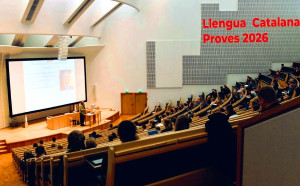 Llengua catalana: proves per a tots els nivells